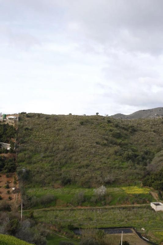 Działka na sprzedaż w Benajarafe, Malaga photo 5