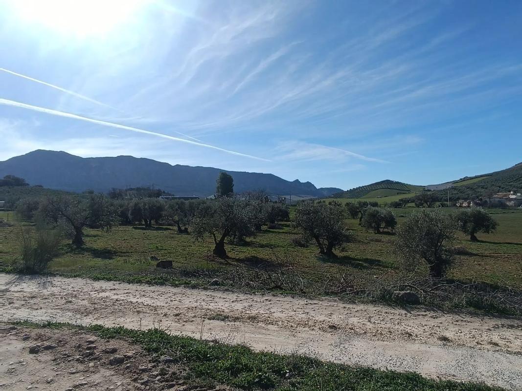 Działka na sprzedaż w Antequera, Malaga photo 1