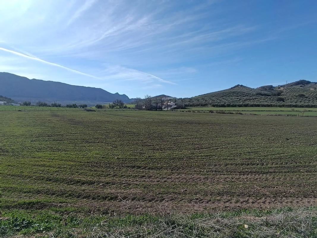 Działka na sprzedaż w Antequera, Malaga photo 2