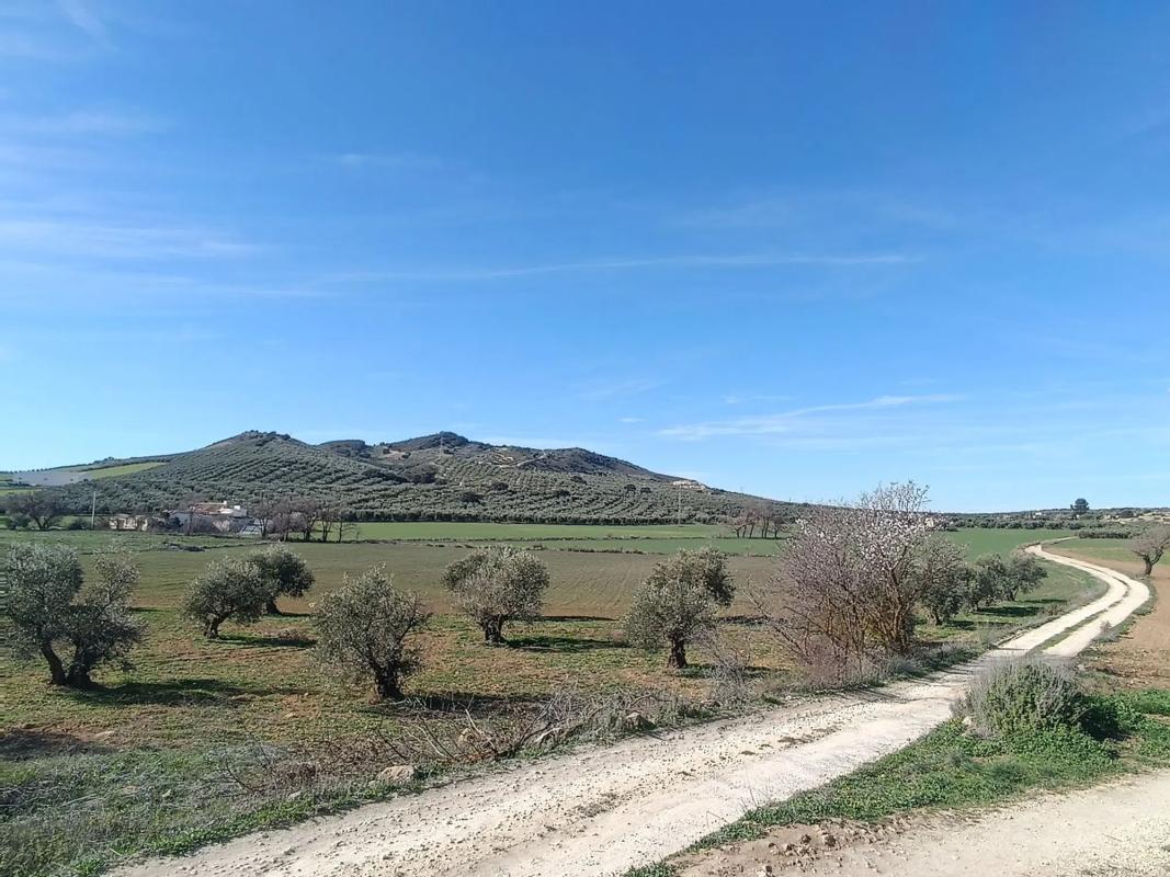 Działka na sprzedaż w Antequera, Malaga photo 3
