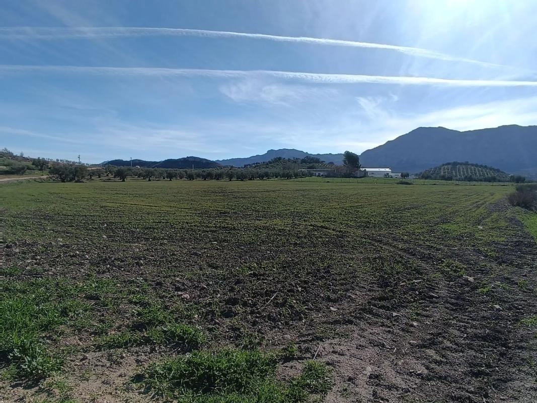 Działka na sprzedaż w Antequera, Malaga photo 4