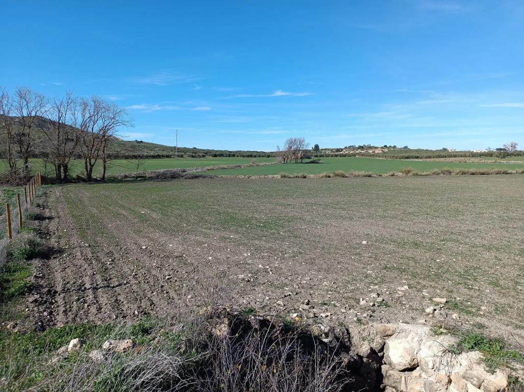 Działka na sprzedaż w Antequera, Malaga photo 5