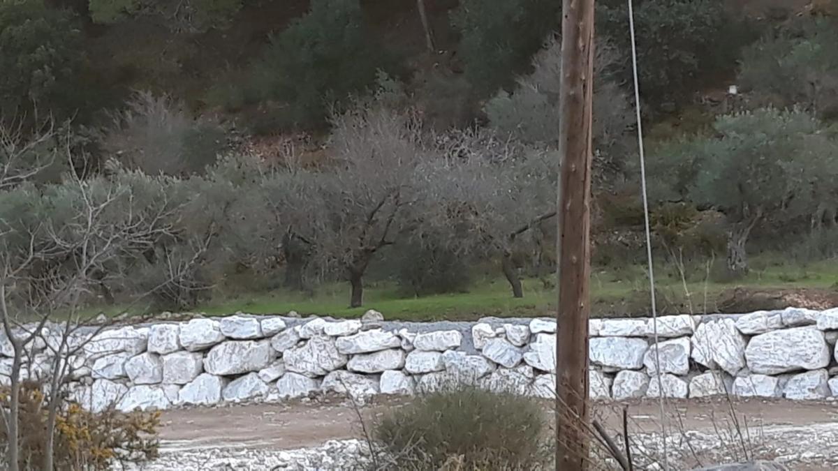 Terreno en venta en Monda, Malaga photo 1