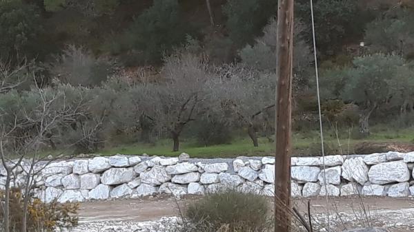 Terreno en Arroyo del viejo s/n photo 1