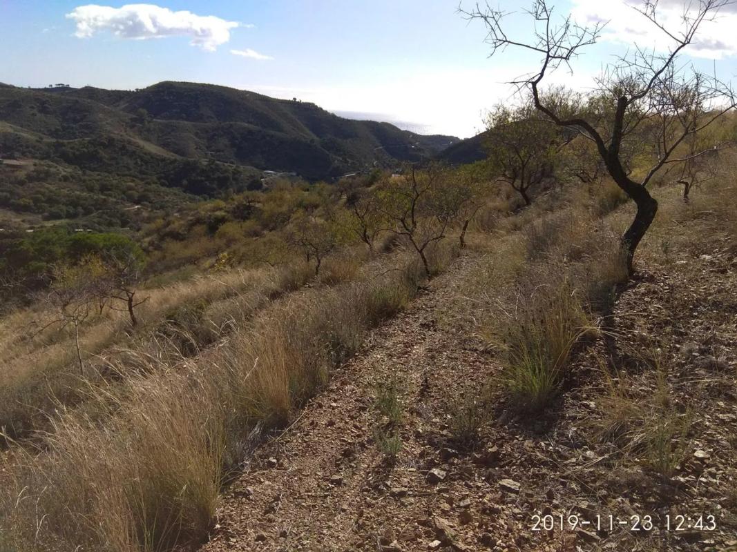 Terreno en venta en Ojén, Malaga photo 5