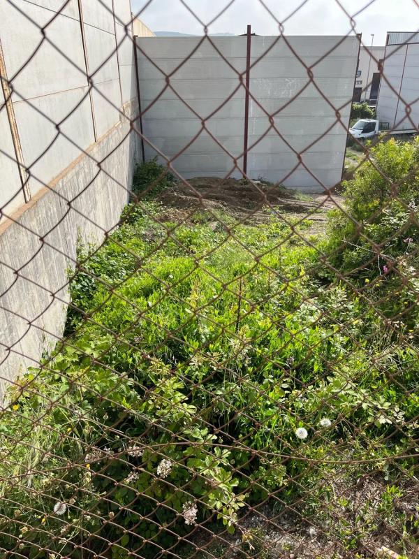 Terreno en venta en Manilva, Malaga photo 5