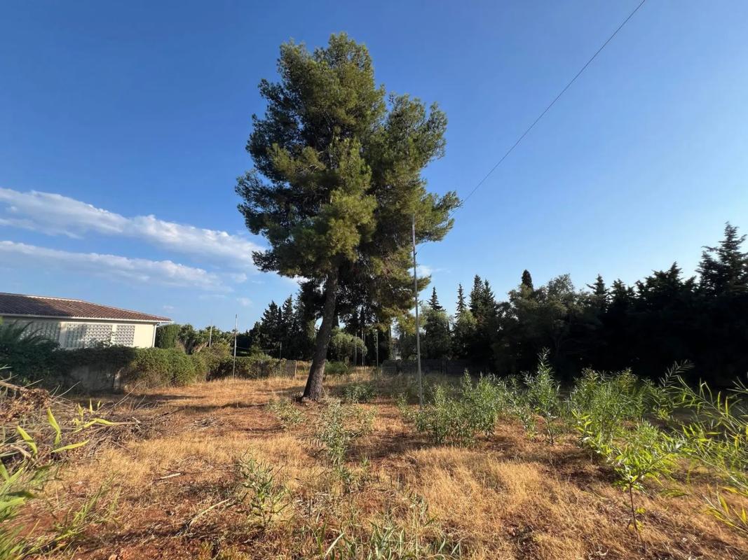 Terreno en venta en Marbella, Malaga photo 5