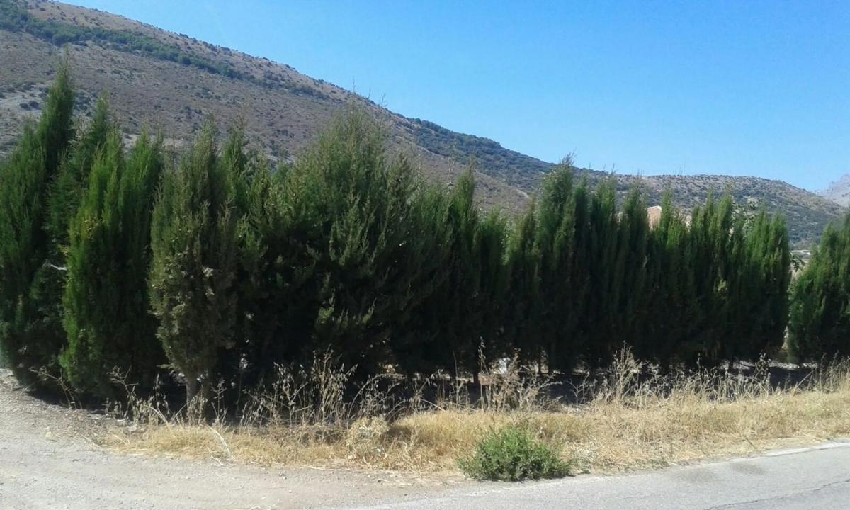 Działka na sprzedaż w Alfarnate, Malaga photo 1