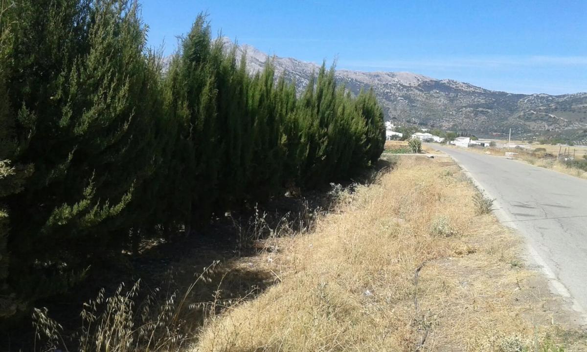 Działka na sprzedaż w Alfarnate, Malaga photo 3