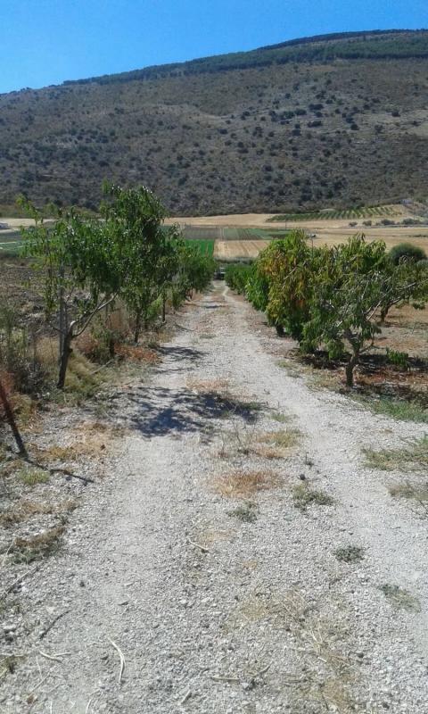 Działka na sprzedaż w Alfarnate, Malaga photo 5
