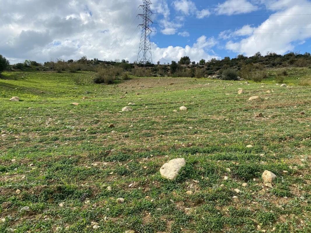 Land for sale in Alora, Malaga photo 2