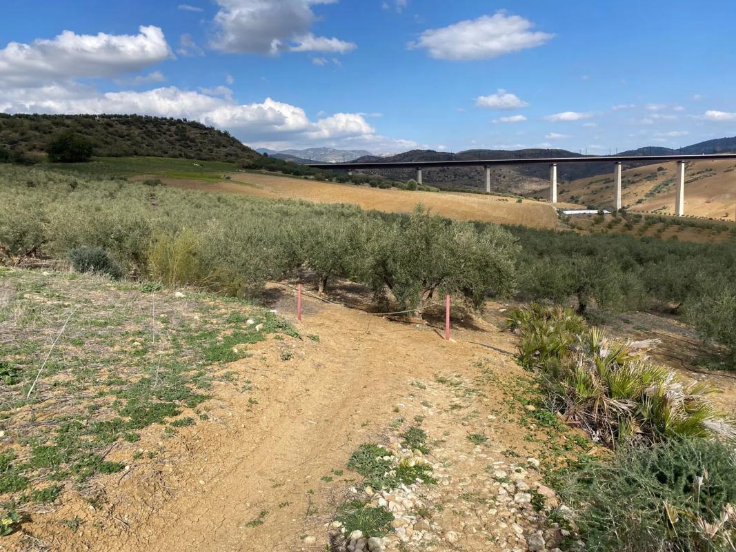 Land for sale in Alora, Malaga photo 3