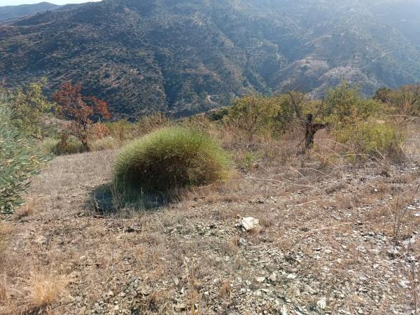Terreno en Totalan photo 1