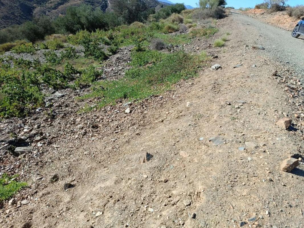 Terreno en venta en Moclinejo, Malaga photo 4
