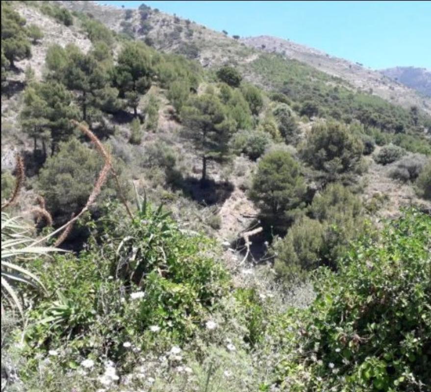 Land for sale in Mijas, Malaga photo 5