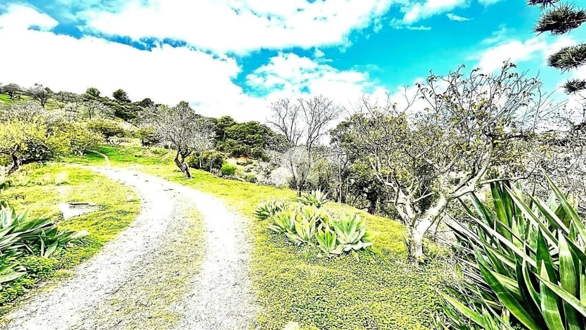 Terreno en venta en Estepona, Malaga photo 1