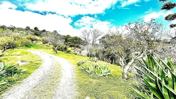 Terreno en Barrio Sierra de Estepona-Avda de Andalucia photo 1