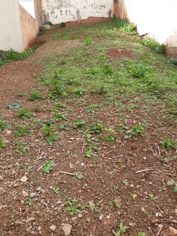 Land for sale in Casabermeja, Malaga photo 4