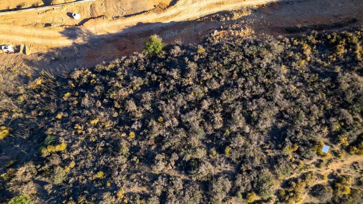 Terreno en venta en Mijas, Malaga photo 4