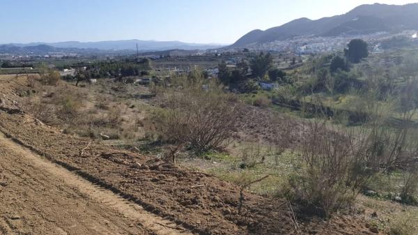 Terreno en cartama, 42 photo 3