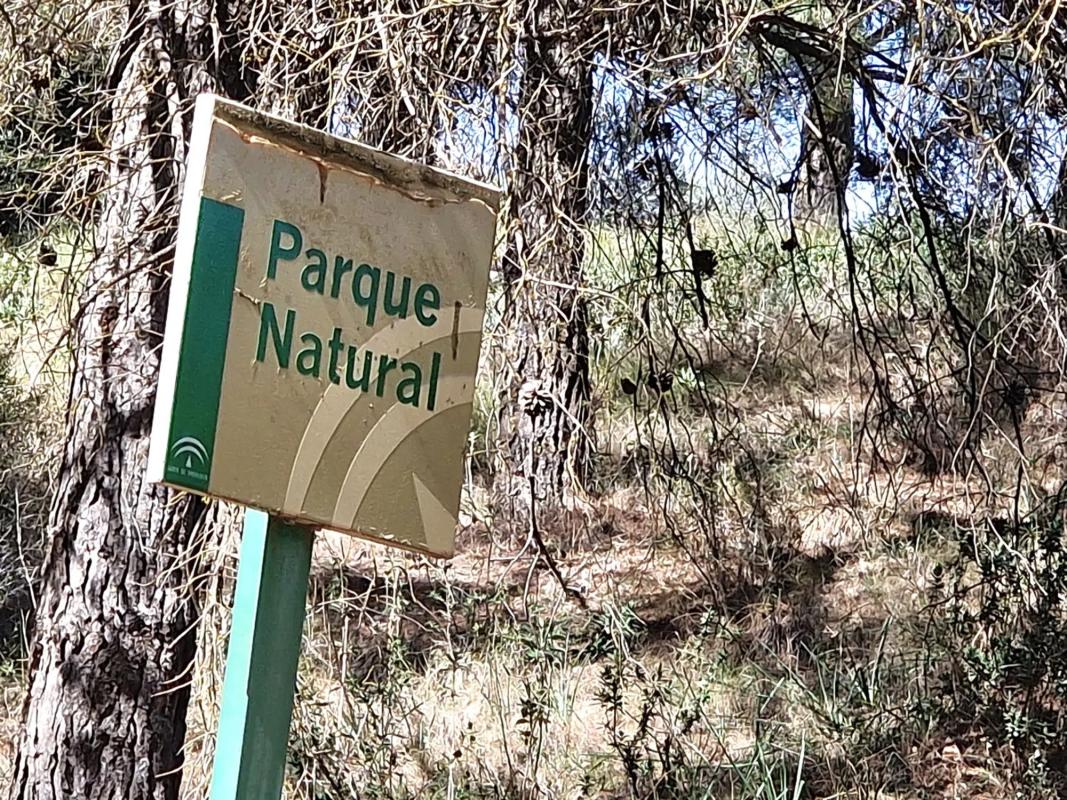 Działka na sprzedaż w El Burgo, Malaga photo 3