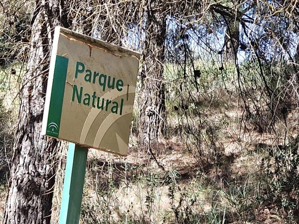 Terreno en El Burgo photo 3