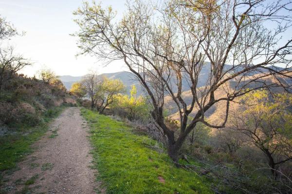 Terreno en camino del Fiscal photo 1