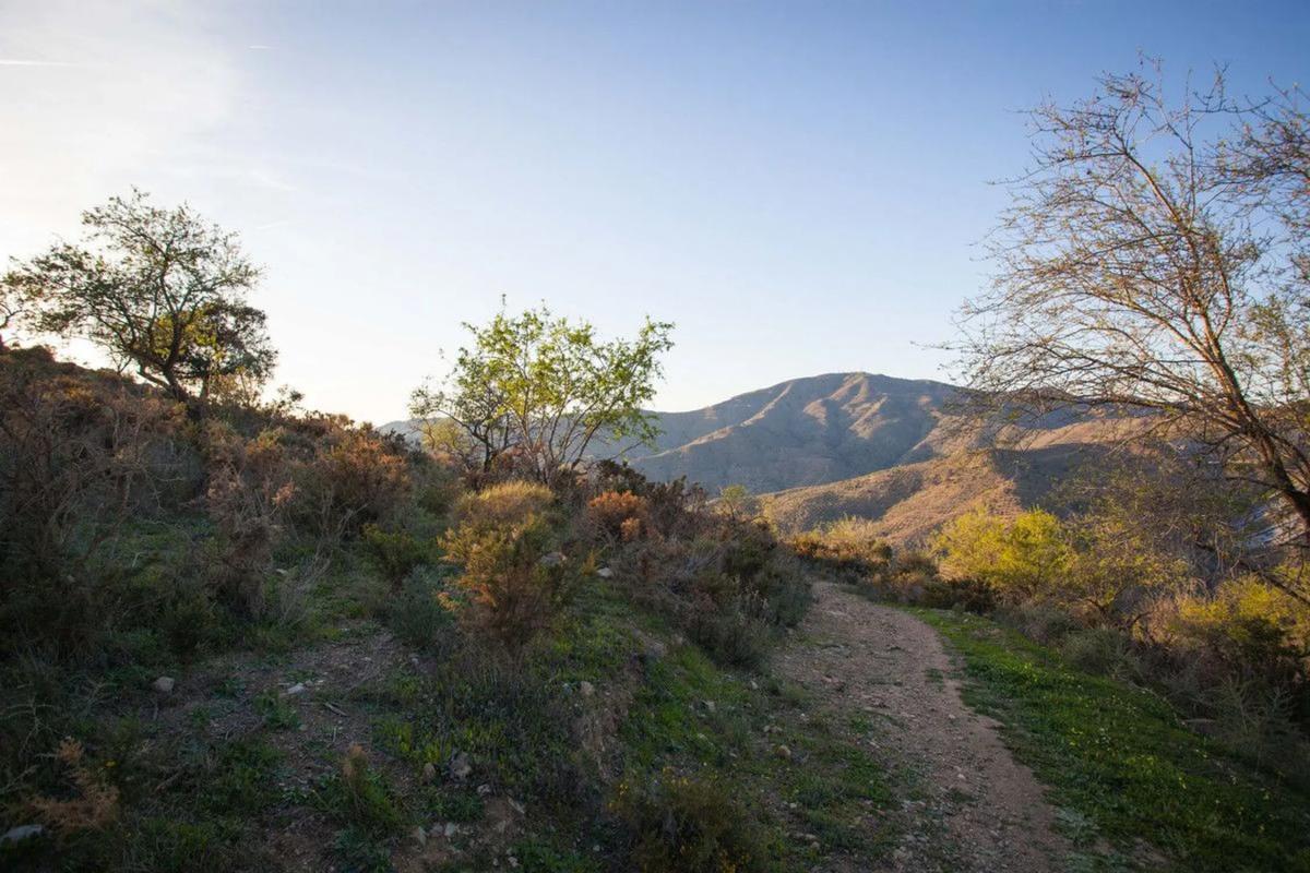 Terreno en venta en Moclinejo, Malaga photo 3