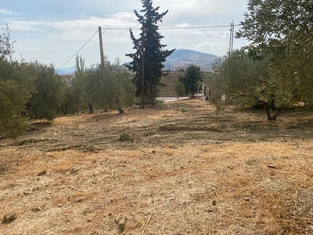 Działka na sprzedaż w Villanueva de la Concepción, Malaga photo 4