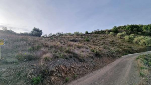 Terreno en Paraje La Morena, 2 Polgono photo 1