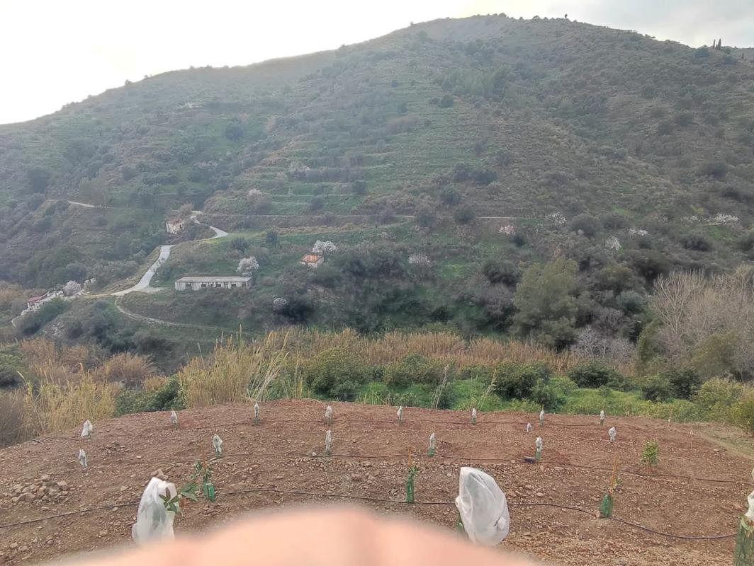 Terreno en venta en Torrox, Malaga photo 3