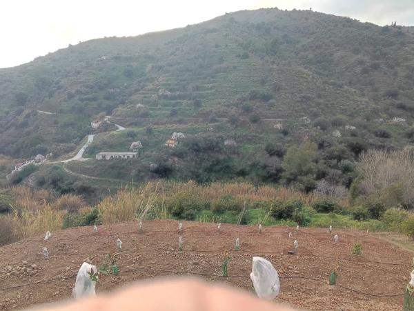 Terreno en campo s/n sn photo 3