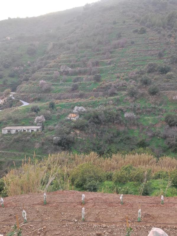 Terreno en venta en Torrox, Malaga photo 4