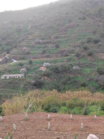 Terreno en campo s/n sn photo 4