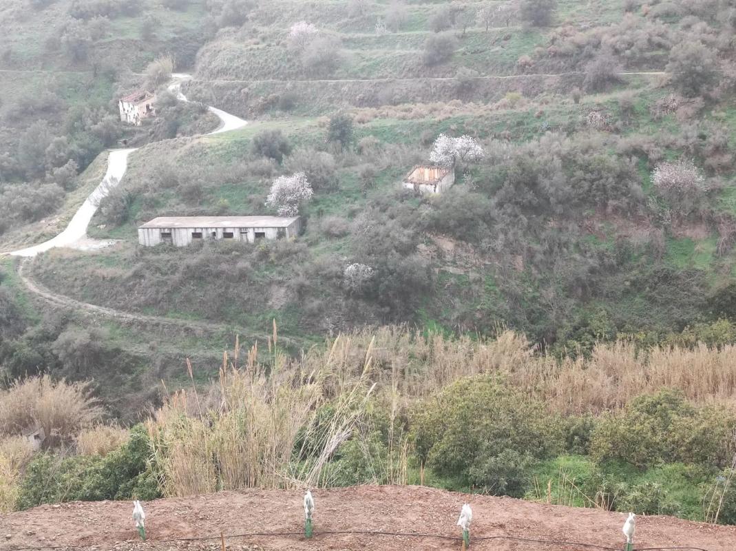 Terreno en venta en Torrox, Malaga photo 5