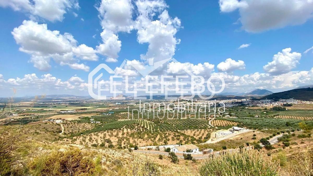 Działka na sprzedaż w Antequera, Malaga photo 3