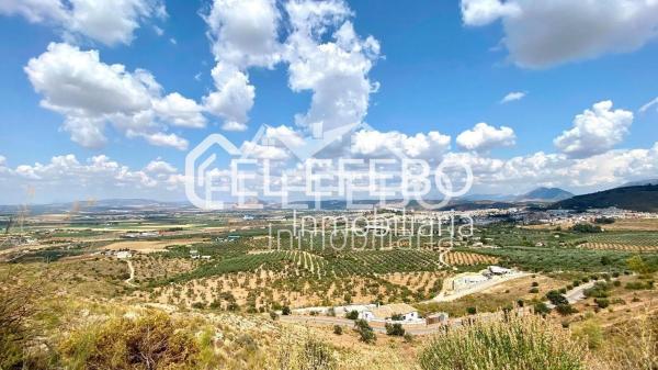 Terreno en Bobadilla - Bobadilla Estación - La Joya photo 3