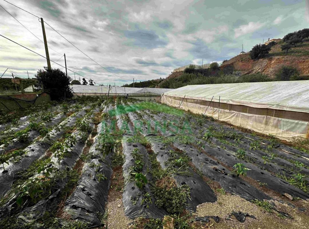 Terreno en venta en Almayate Bajo, Malaga photo 3