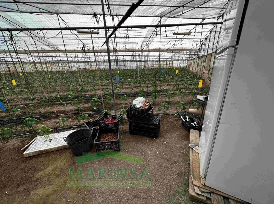 Terreno en venta en Almayate Bajo, Malaga photo 5