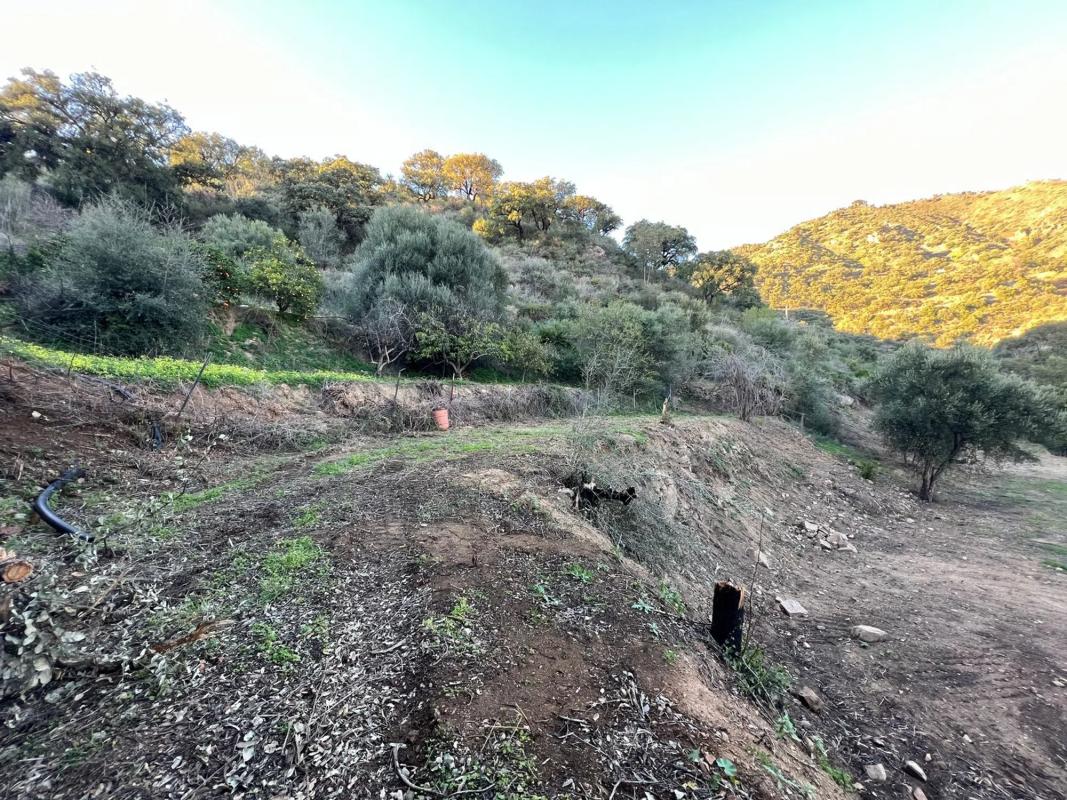 Land for sale in Ojén, Malaga photo 1