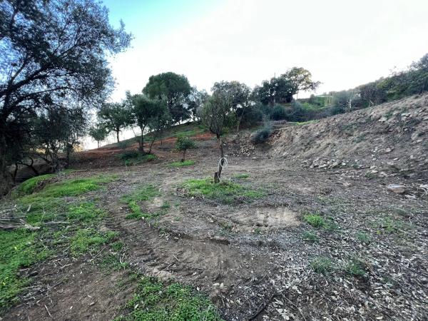 Terreno en Cordobachina photo 2