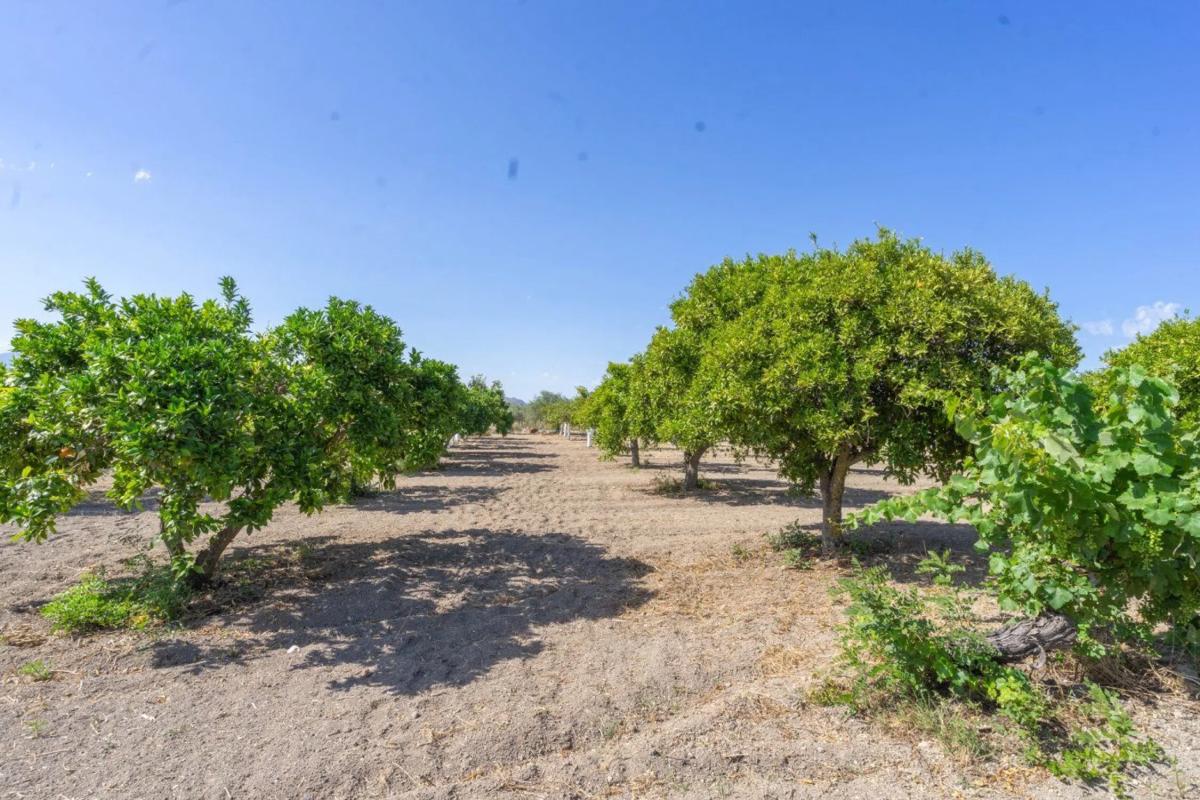 Участок земли на продажу в Алхаурин-эль-Гранде, Малага photo 5