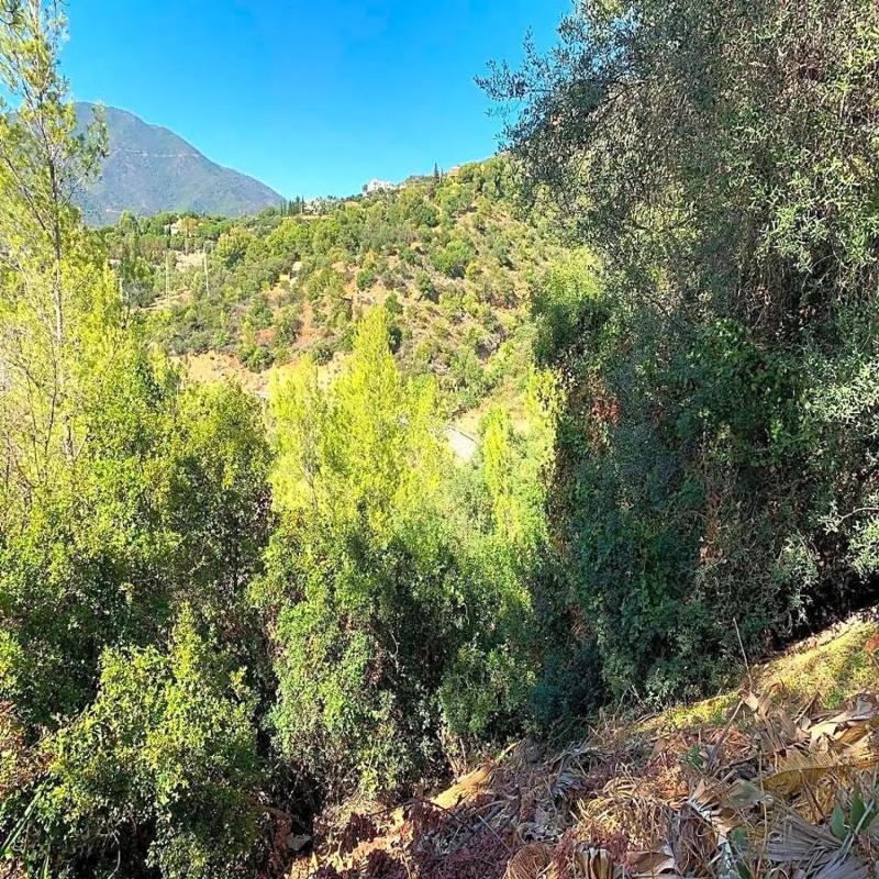 Terreno en venta en Istan, Malaga photo 2