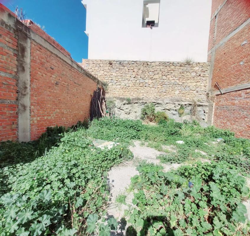 Участок земли на продажу в Канильяс-де-Асейтуно, Малага photo 1
