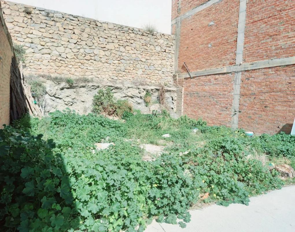 Участок земли на продажу в Канильяс-де-Асейтуно, Малага photo 5