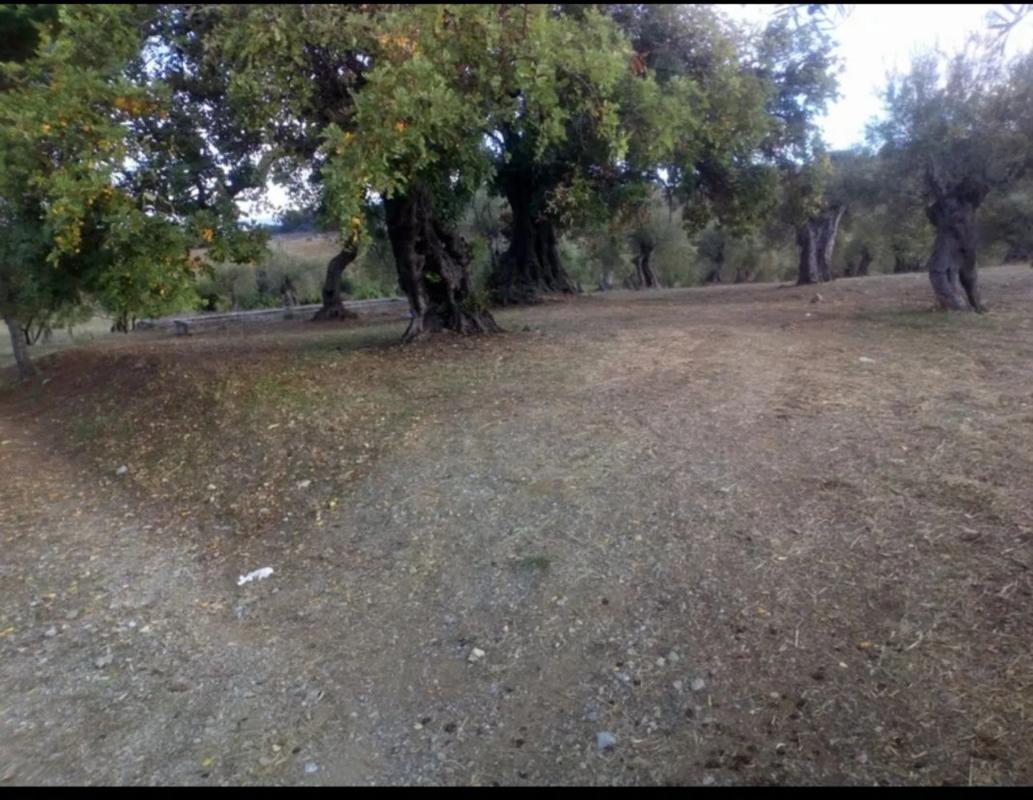 Terreno en venta en Alozaina, Malaga photo 1