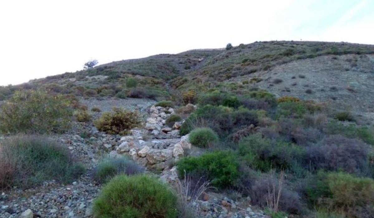 Terreno en venta en Alhaurín el Grande, Malaga photo 5