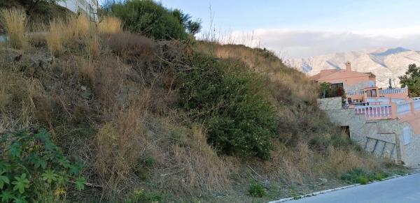 Terreno en avenida Aguila Coronada photo 3