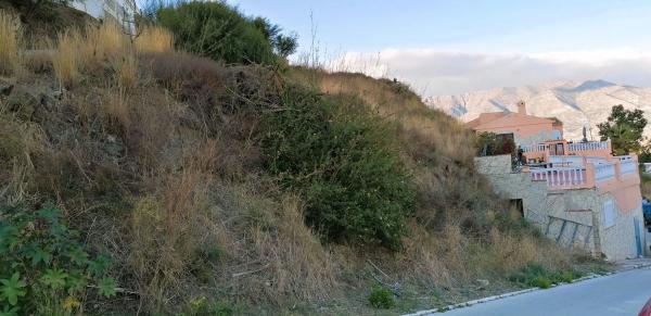 Terreno en avenida Aguila Coronada photo 4