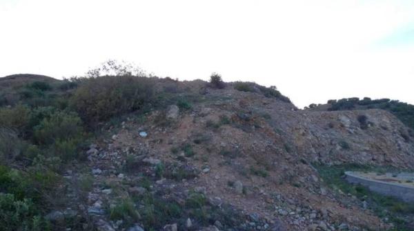 Terreno en C/avestruz, 116 photo 1
